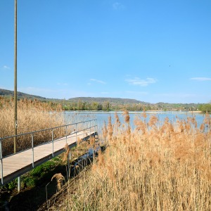 Löchligaischt Steg zum Bodensee