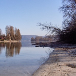 Grundstück am Untersee