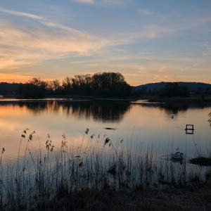 Morgenrot am See