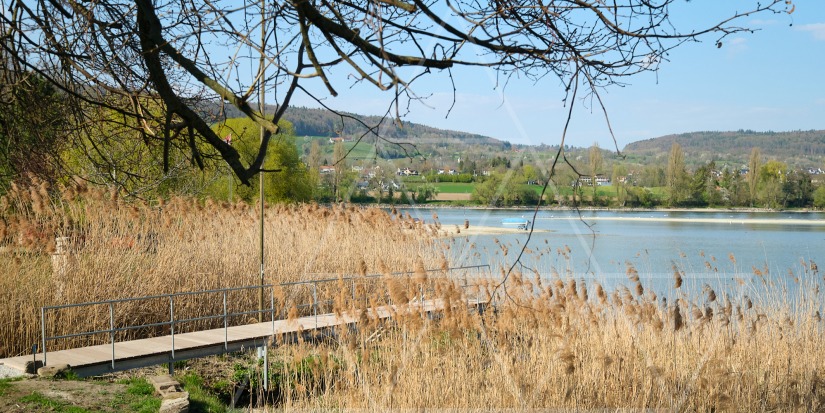 Löchligaischt am Bodensee mit Steg